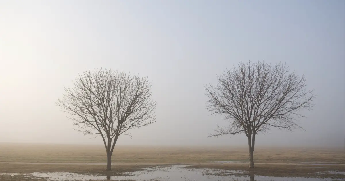 Illustration representing the Gottman Method approach